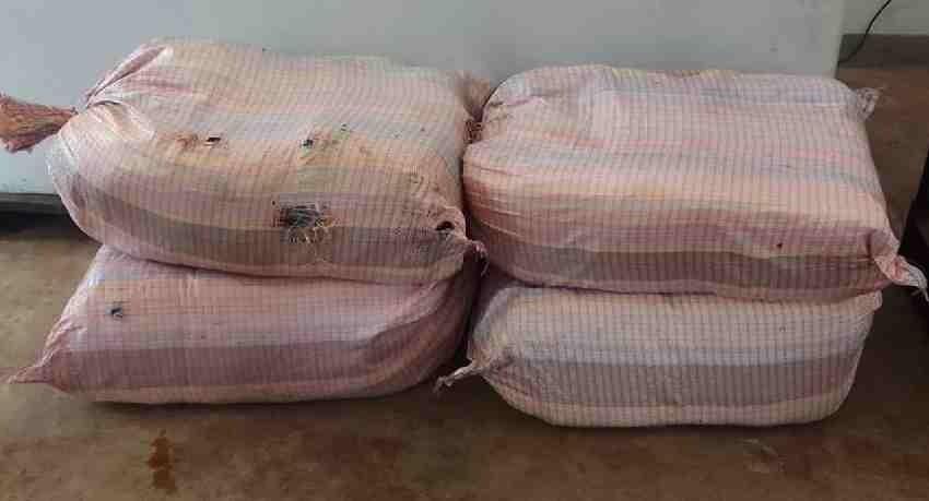 Rs. 42 Mn worth of Kerala Cannabis recovered adrift at sea